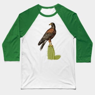 Harris Hawk Baseball T-Shirt